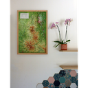 Le Parc Naturel Régional des Volcans d'Auvergne