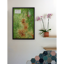 Le Parc Naturel Régional des Volcans d'Auvergne