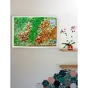 9791097206772_1.webp