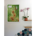 Le Parc Naturel Régional des Volcans d'Auvergne