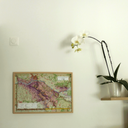 L'Anjou Viticole et Historique - Paulée d'Anjou