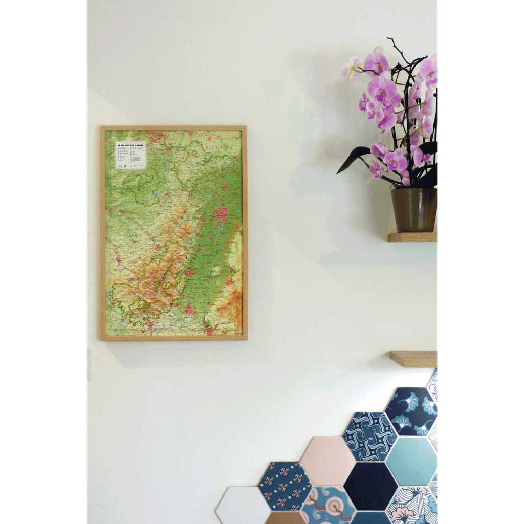 Le Massif des Vosges