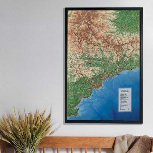 [AM19] Les Alpes Maritimes (9791097206086)