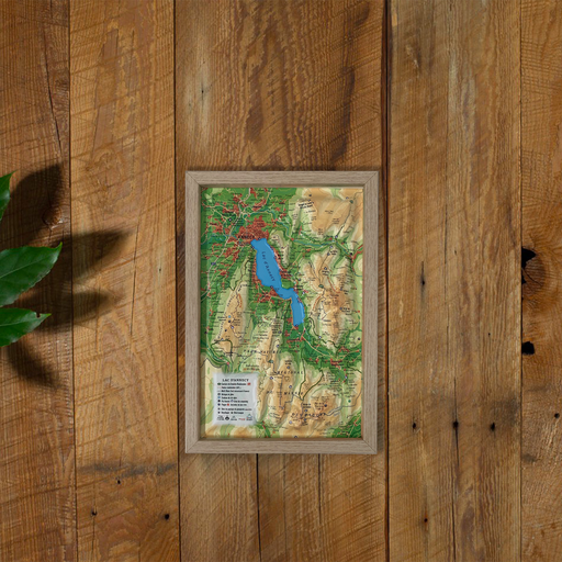 [AN28] Le Lac d'Annecy (9791097206239)