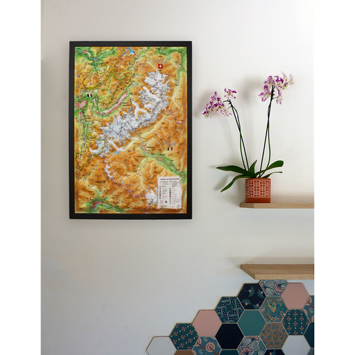 [MTBL48] Le Massif du Mont Blanc (9791097206444)