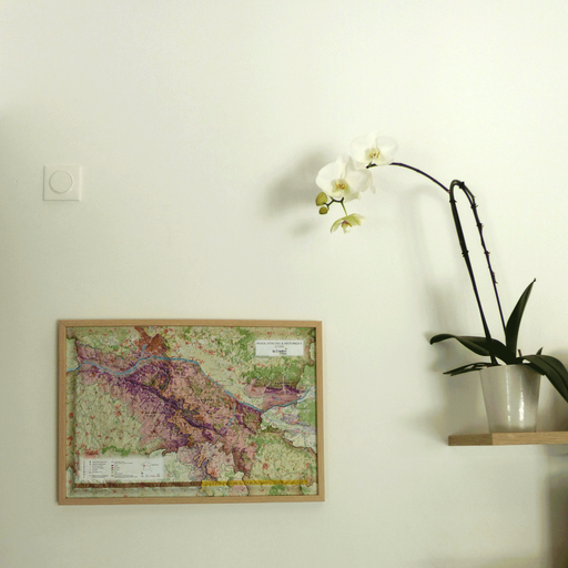 [ANJ52] L'Anjou Viticole et Historique - Paulée d'Anjou (9791097206482)