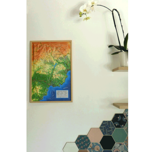 [EST-FAY51] Massif de l'Esterel - Pays de Fayence (9791097206475)